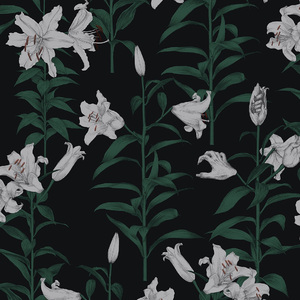 日本2021免费一二三四区
